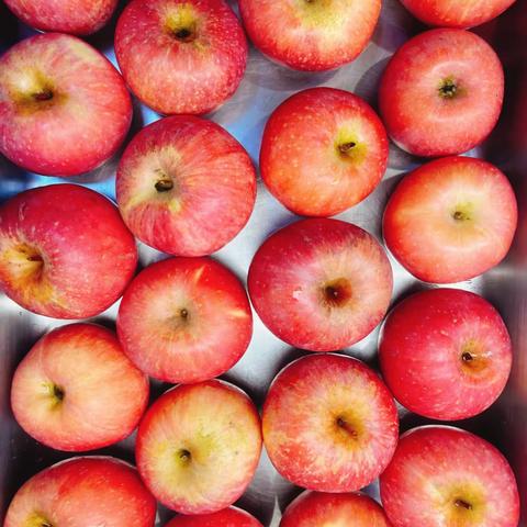 8.31-未来中心-午餐