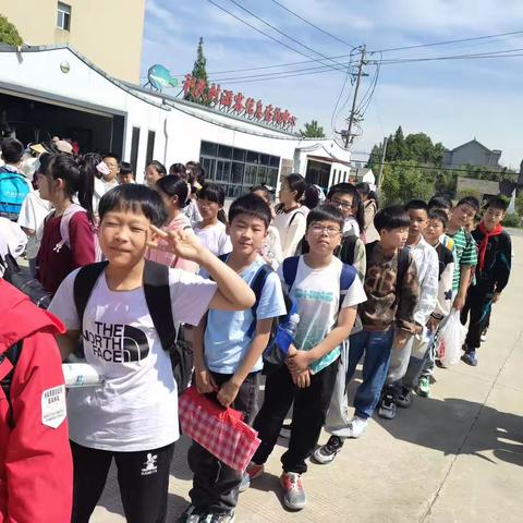 拥抱春天，唤醒春天