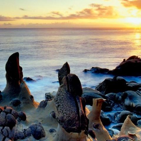 山肴海错~海燕窝