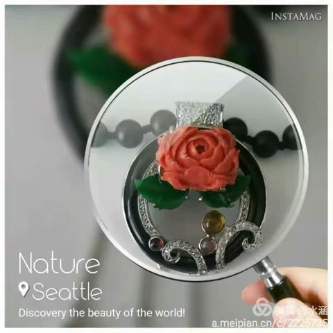 絳樹無花葉，非石亦非瓊。 世人何處得，蓬萊石上生。