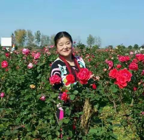 岁岁重阳，今又重阳，天高云淡，花艳人欢！