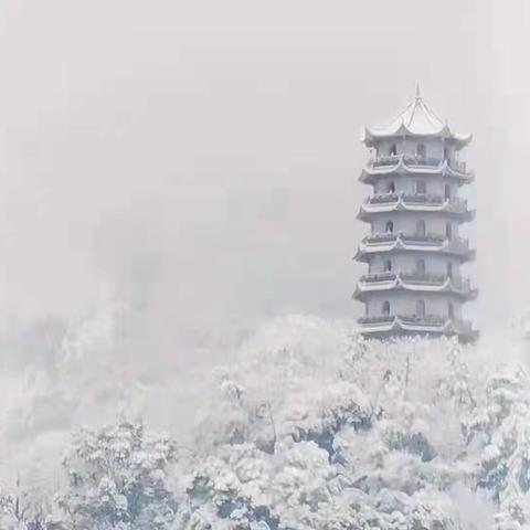 有你在，雪的世界漫舞着精彩