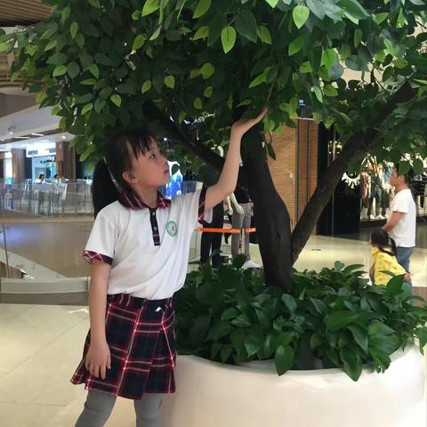 朗诵 《将进酒》