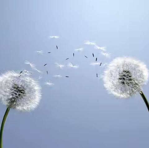 黄陵的乡党们注意啦，城乡养老保险费将于2019年6月1日开征啦！