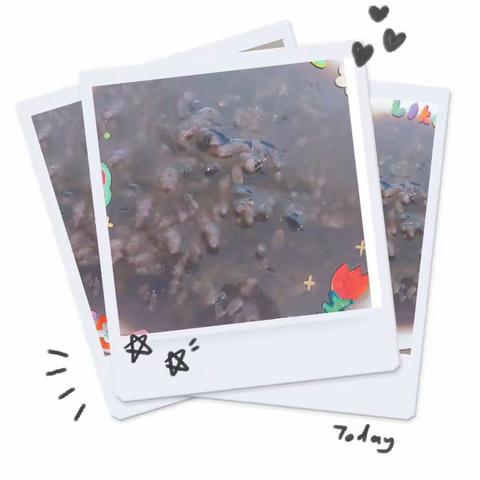 福娃幼儿园今日餐点