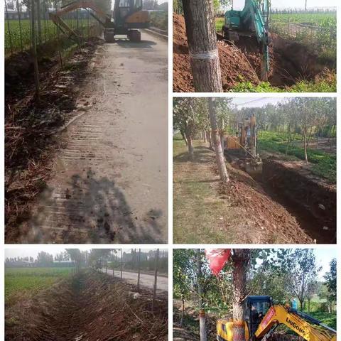 孝敬镇齐村--清排涝河，保农田