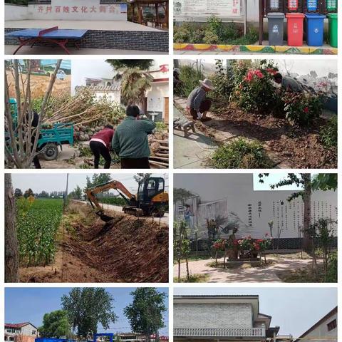 孝敬镇齐村-多举措打造生态宜居，助力“五星”支部创建