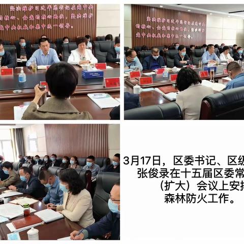 “四举措”打好森林防火攻坚战