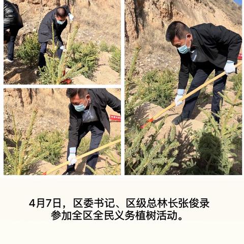 种下一棵树   增添一抹绿