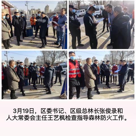 城西区扎实开展春分期间森林防火工作
