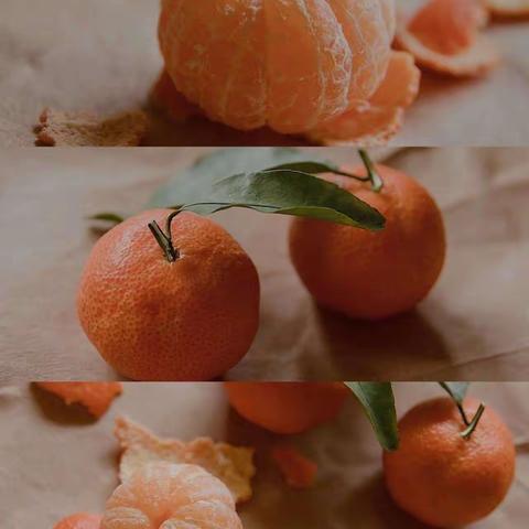 “遇见橘子🍊遇见秋”——蓬莱区金水街幼儿园大二班橘子生成课程