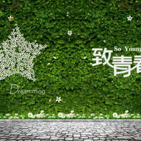青春的模样 (作者:谢杨诗语)