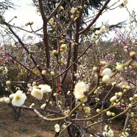 三月，风和日丽，色彩缤纷。一件件有意义的活动，在这个美丽的季节悄然发生……