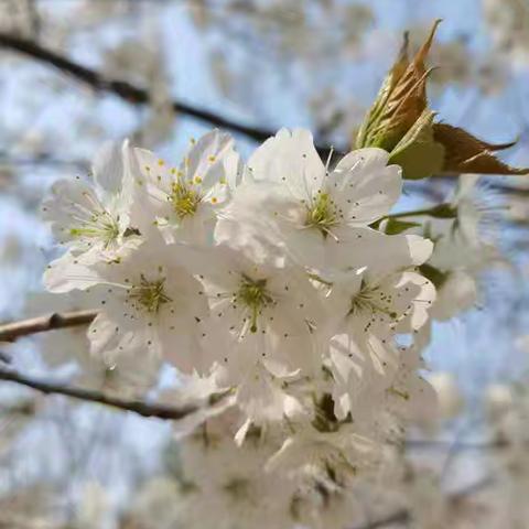 鸿福军师（乐亭老段）的美篇