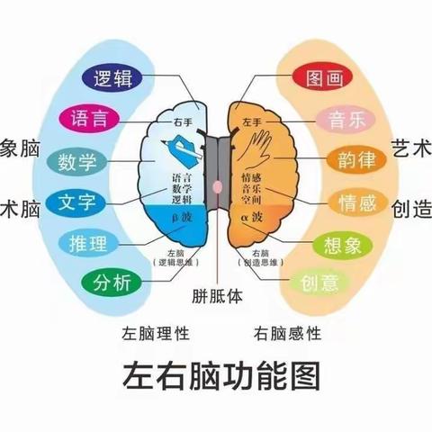 贝乐堡幼儿园“大三班全脑展示课”圆满成功👏👏