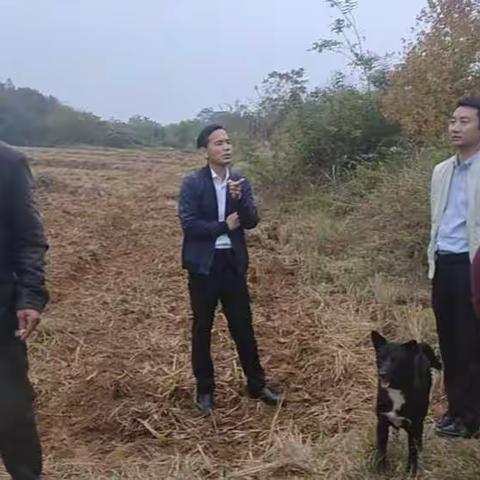 【杨桥殿镇下易村】党建引领 抓好秋冬农业工作，促进农民增收。