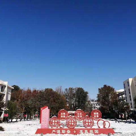 历城一中2021年立冬雪！