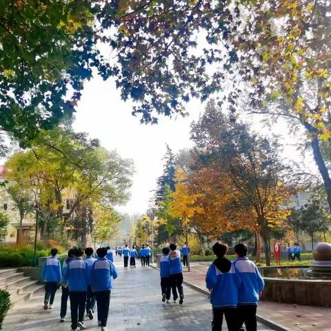 一枚落叶留住秋天——孩子们用独特的方式收藏2021年的秋天！