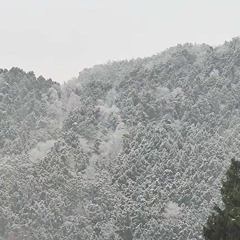 第一次经历下雪——南充高中高坪校区初2021级一班唐瀛旋寒假生活掠影