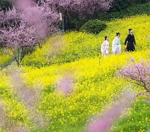 停课不停学，我们从未止步—赤松学校六年级