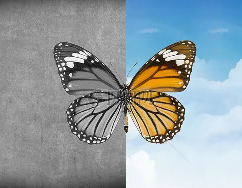 官桥小学2021年暑假安全再教育