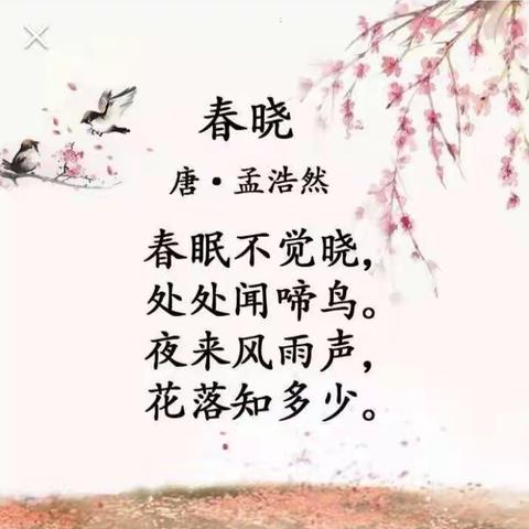 🌻🌻古韵幽香 诗词朗诵----卫峪幼儿园每周古诗朗诵《春晓》