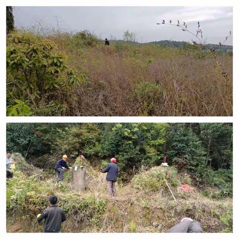 港口镇东源村一周工作简报（4.4-4.10）