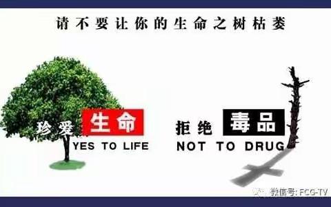 店上中学“拒绝毒品，珍爱生命”告家长一封信