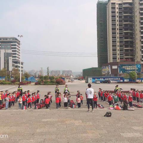 新新幼儿园组织孩子们《畅享春游，融入自然》户外零食分享活动