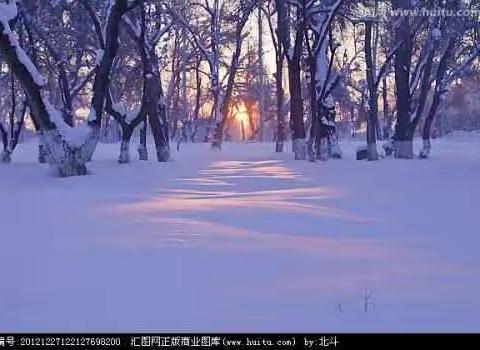 冬日暖阳——我们的办公室温情