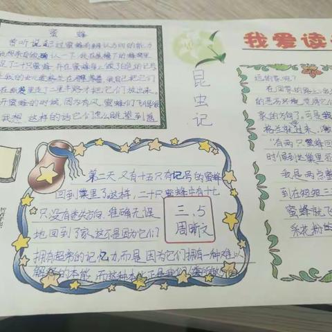 昆虫记优秀手抄报