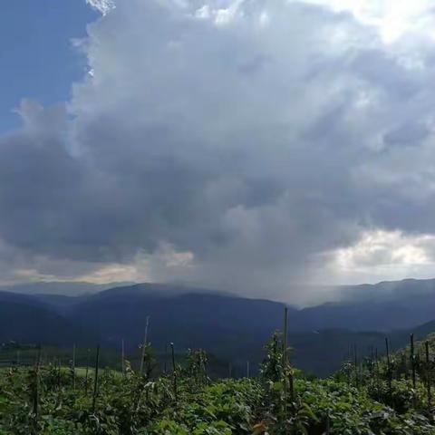 远山飘来的雨