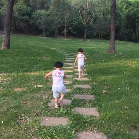 圆满的故事之森林公园篇