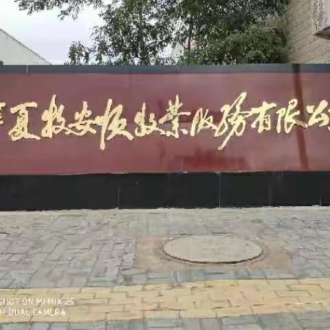 宁夏宁夏牧安顺牧业招聘