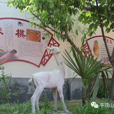相约春天   走进校园——湛河实验学校五、六年级返校复学记