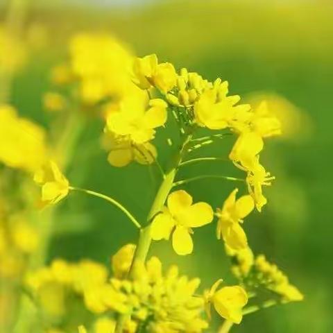 【湛河实验学校】春日暖阳  爱在校园——学生洗浴活动纪实
