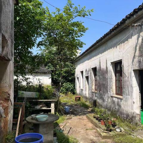 墨浪桃李春风尽（三）