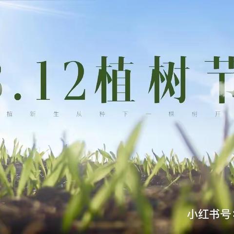 “植树春天里，且看山河绿”安阳县北郭乡申庄小学植树节主题活动