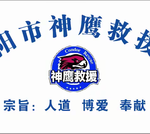 南阳神鹰救援队圆满完成2023年南阳市元宵节焰火晚会安保任务