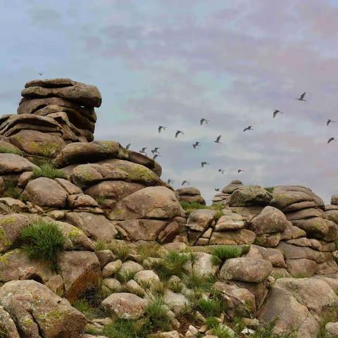 内蒙草原游之《吉穆斯泰石林》