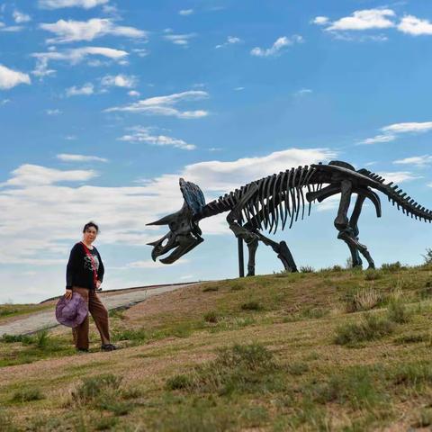 内蒙草原游之《二连浩特》