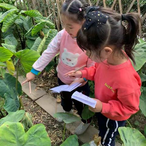 “环”美幼儿园，“境”润幼儿心——城港幼儿园环境评比活动