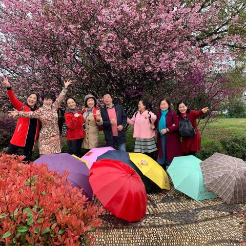 20190327光明村赏梨花、秦山村野餐