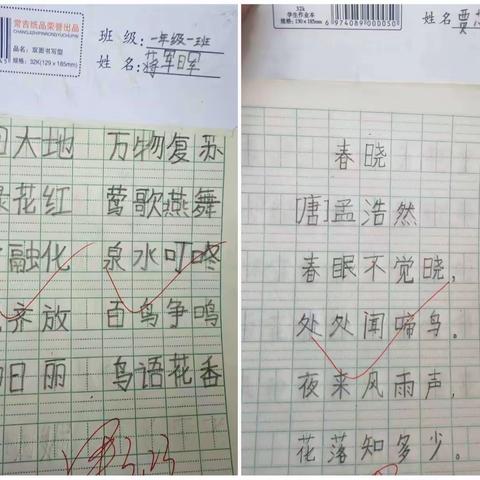 行知小学优秀作业展
