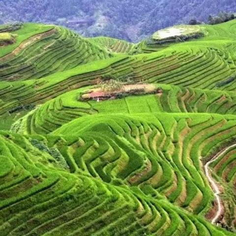 峪藏醉心欢…