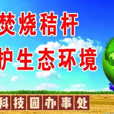 洛龙区科技园办事处毕沟村“加大秸秆清运 共建清洁人居环境！”