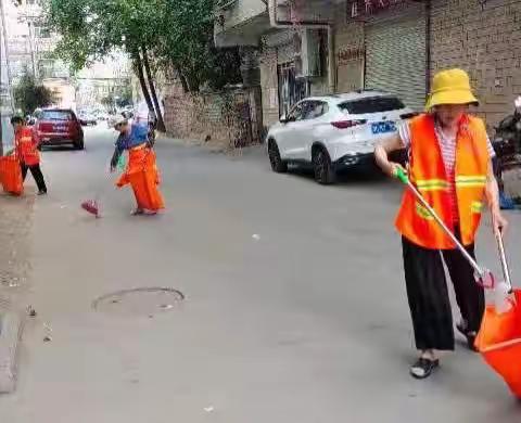 洛龙区科技园办事处“多措并举，持续推进夏季人居环境整治工作！”