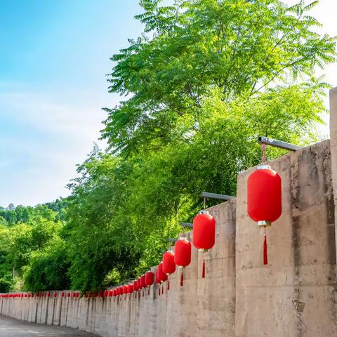 洛龙区科技园办事处“常态化开展人居环境整治工作，不断提升人居环境质量。”