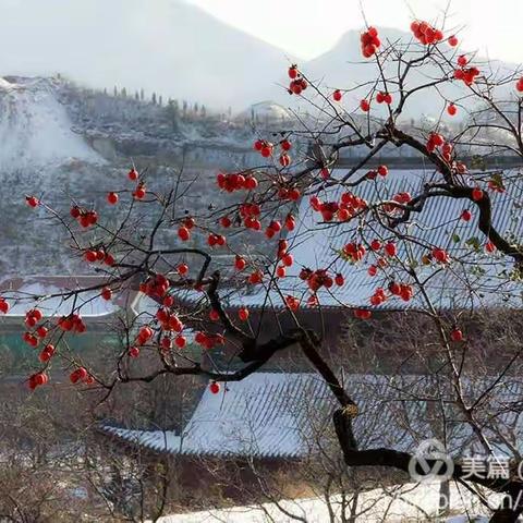 古城.初雪