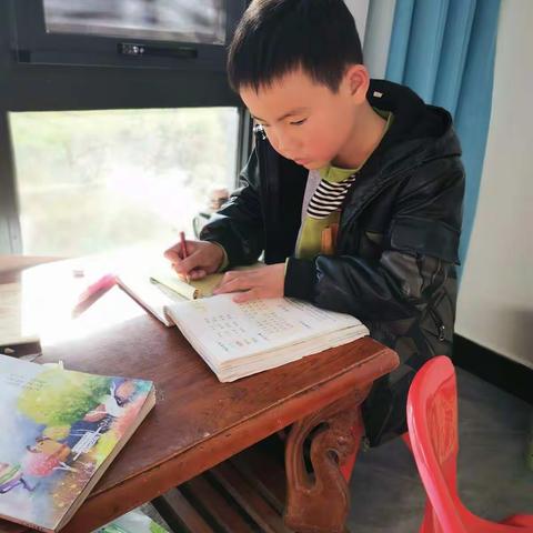 云端携手，共赢未来半坡小学二年级语文一周掠影